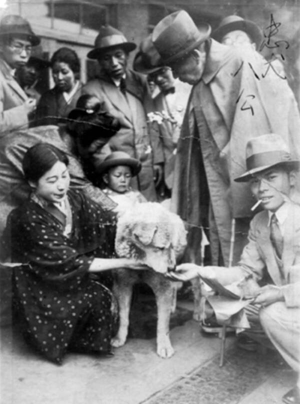 hachiko-being-pet-by-a-crowd